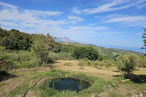 Terra a Collesano, Palermo, Collesano - € 16.000 | Ref: 10638 - foto 3